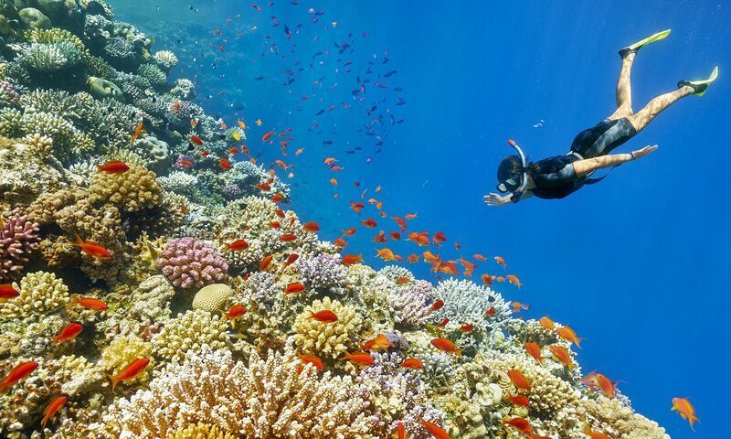 Vizyon KAHİRE - HURGADA - LUKSOR - SHARM EL SHEIKH Turu