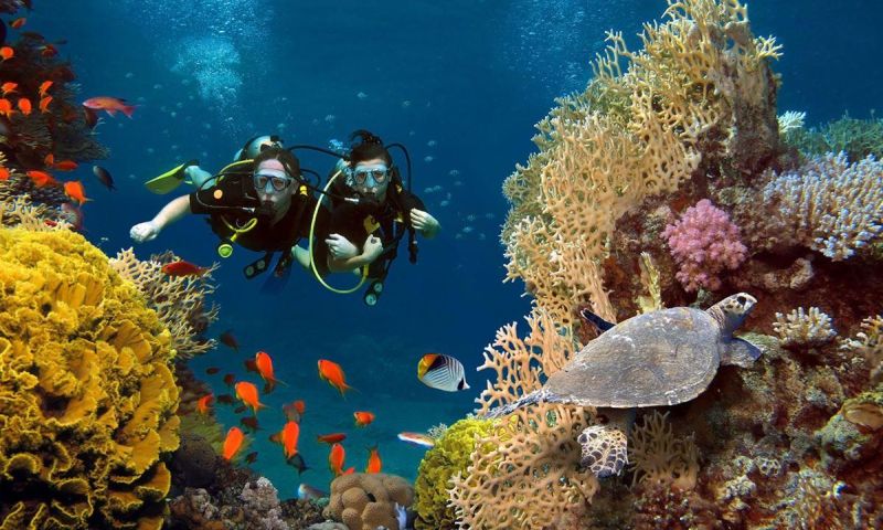 Ankara Çıkışlı Vizyon Sharm El Sheikh Çöl ve Mercanların Keşfi Turu Pegasus Havayolları ile 5 Gece