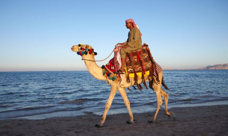 Ankara Çıkışlı Vizyon Sharm El Sheikh Çöl ve Mercanların Keşfi Turu Pegasus Havayolları ile 5 Gece