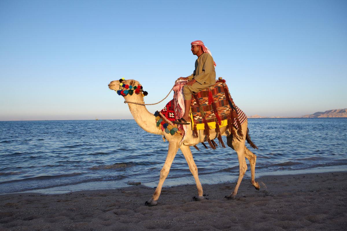 Ankara Çıkışlı Vizyon Sharm El Sheikh Çöl ve Mercanların Keşfi Turu Pegasus Havayolları ile 5 Gece