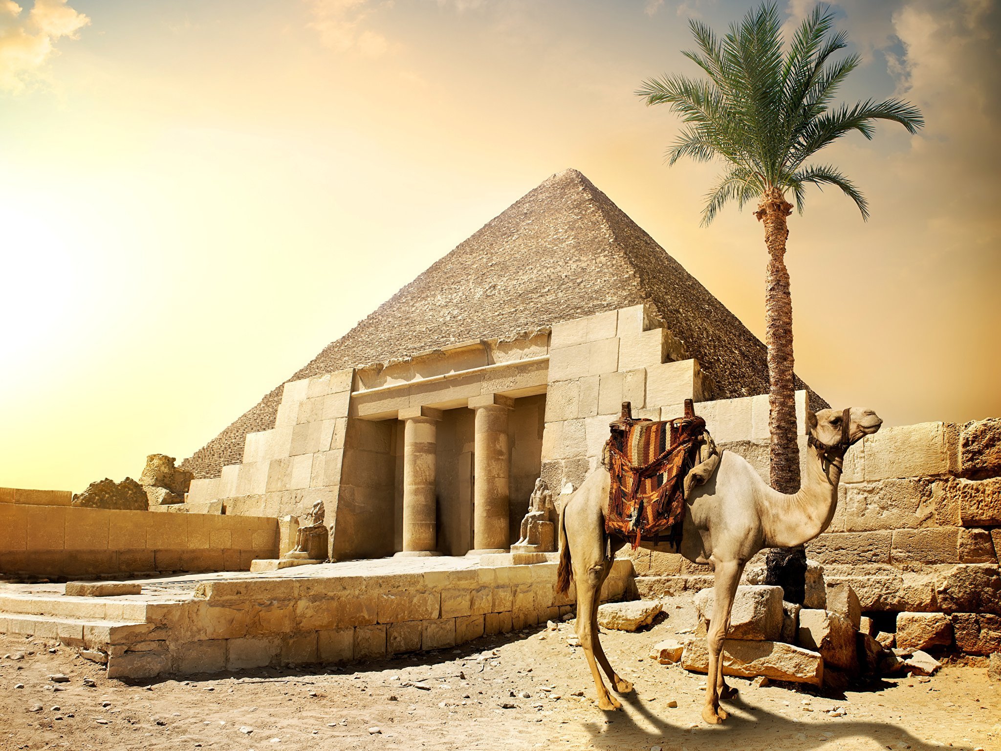 KURBAN BAYRAMINA ÖZEL SHARM EL SHEİKH TURU 4 GECE 5 GÜN