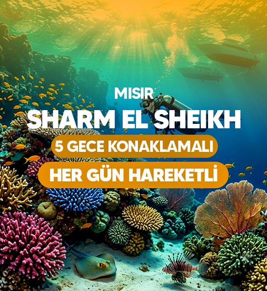 Vizyon Sharm El Sheikh Çöl ve Mercanların Keşfi Turu AJet Havayolları ile 5 Gece