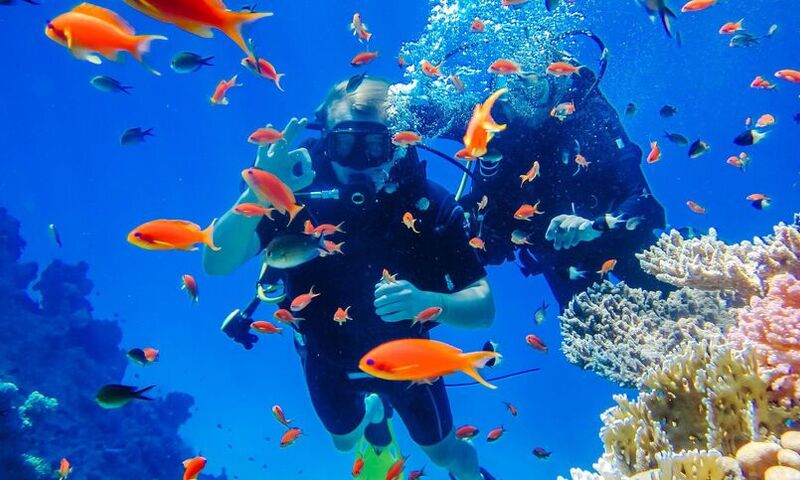 İzmir Hareketli Sun Express İle Sharm El Sheikh Turu 3 Gece