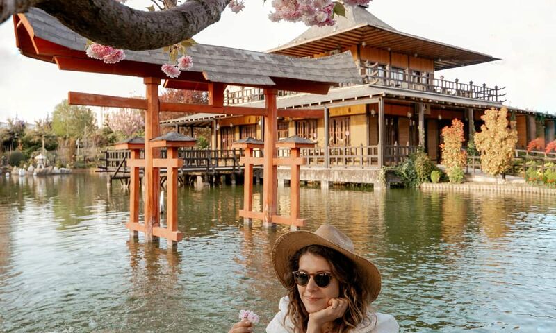 THY ÇIKIŞLI JAPONYA KORE TURU 1O GECE 12 GÜN